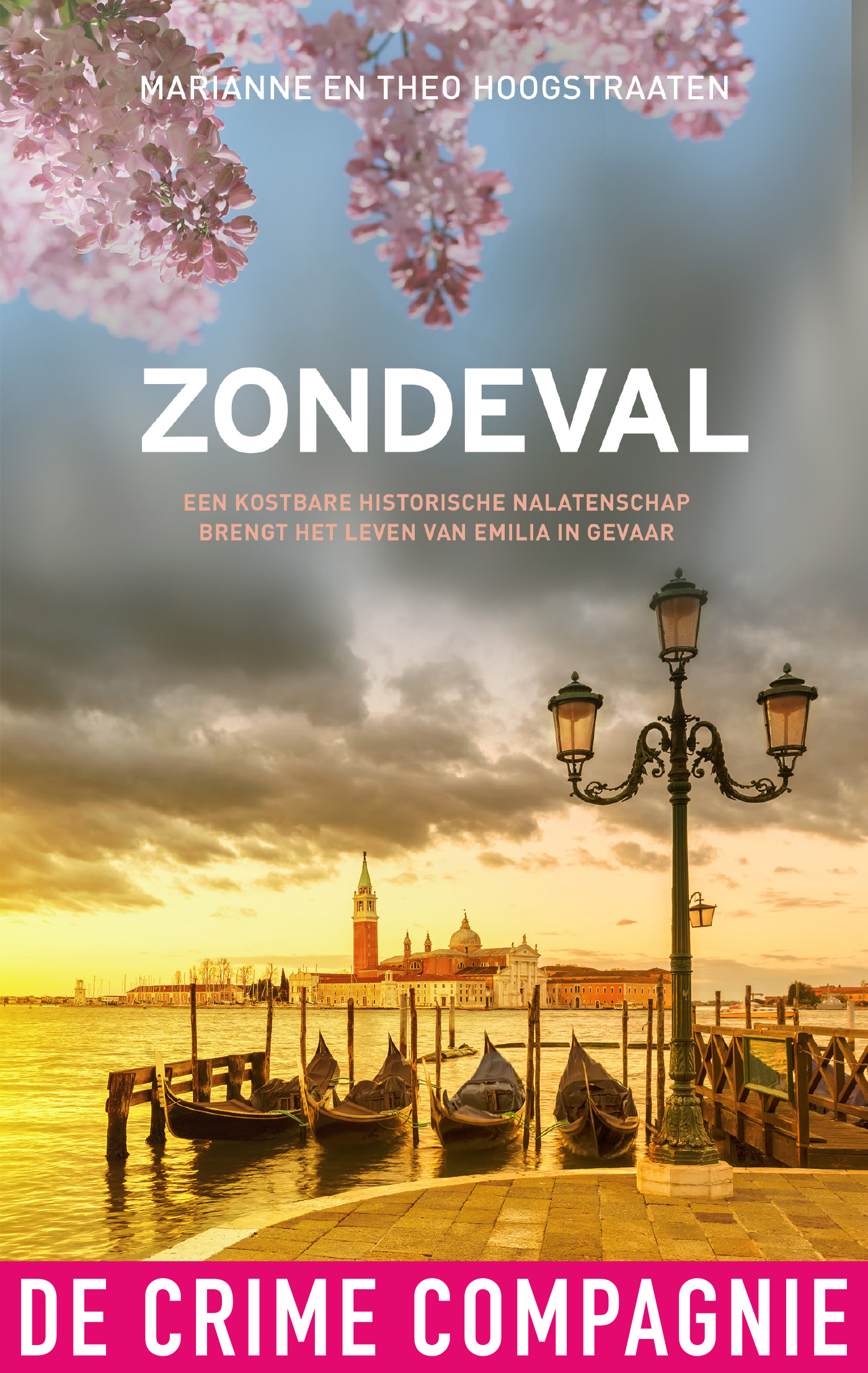 Omslag van Zondeval