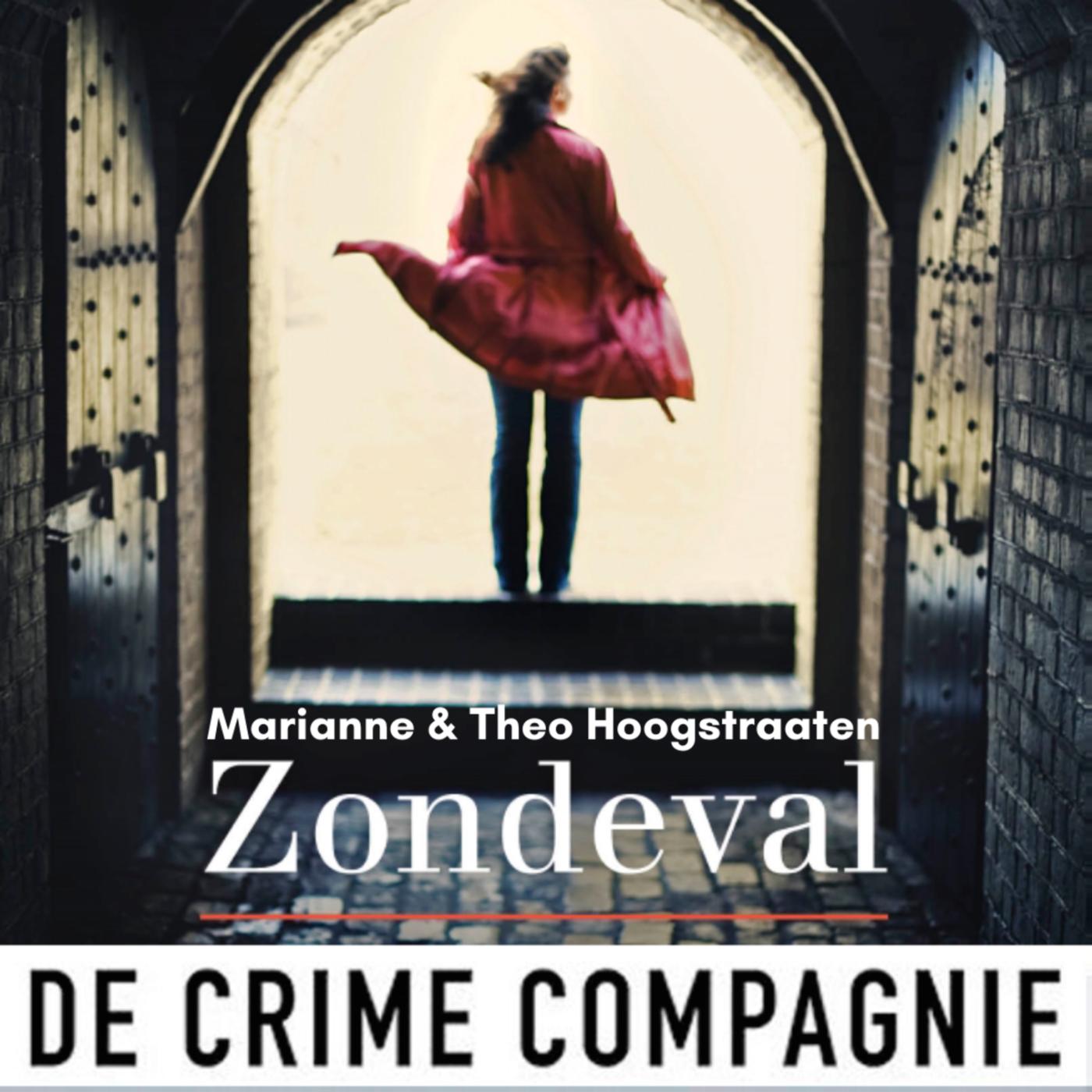 Omslag van Zondeval