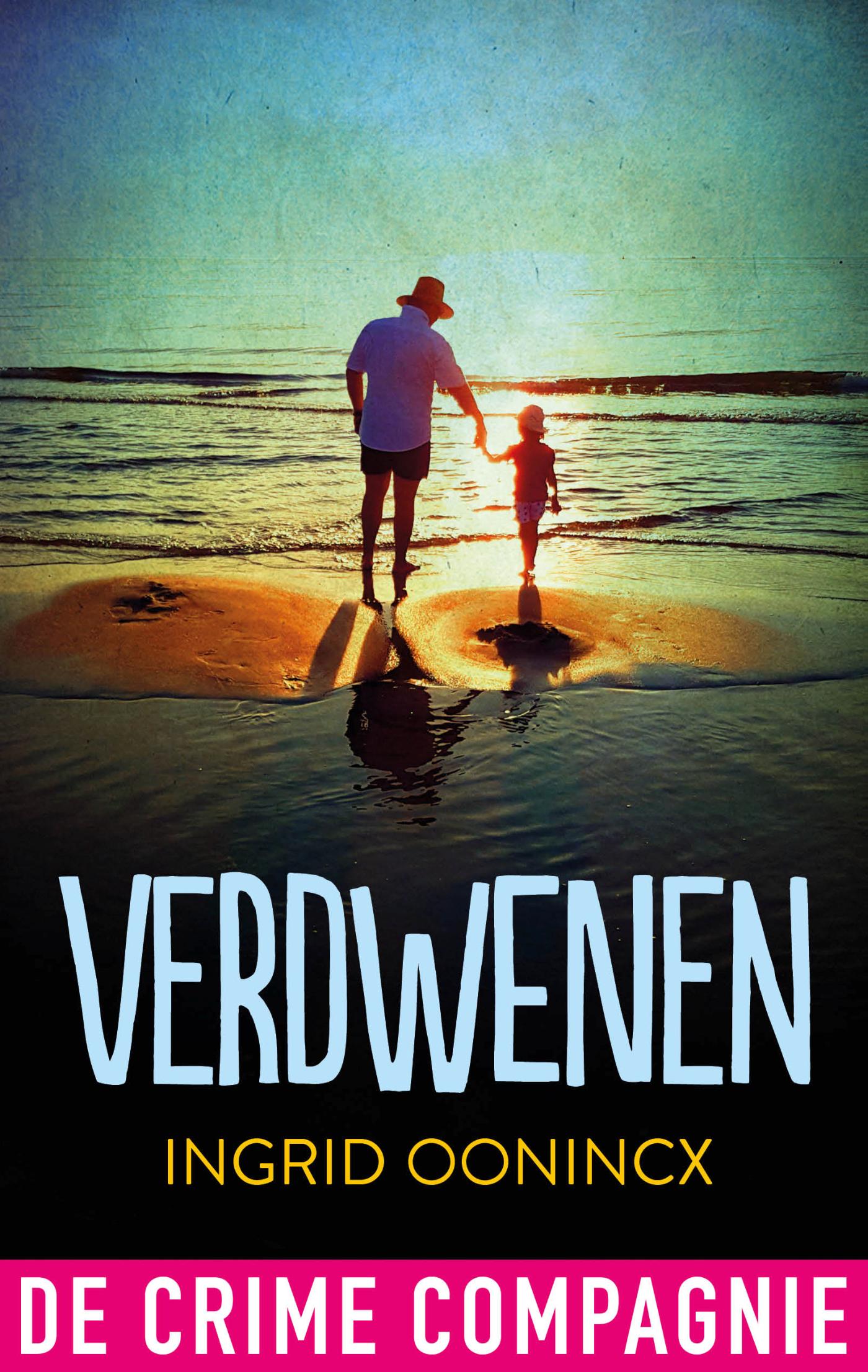 Omslag van Verdwenen