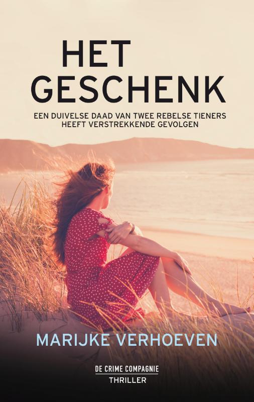 Omslag van Het geschenk