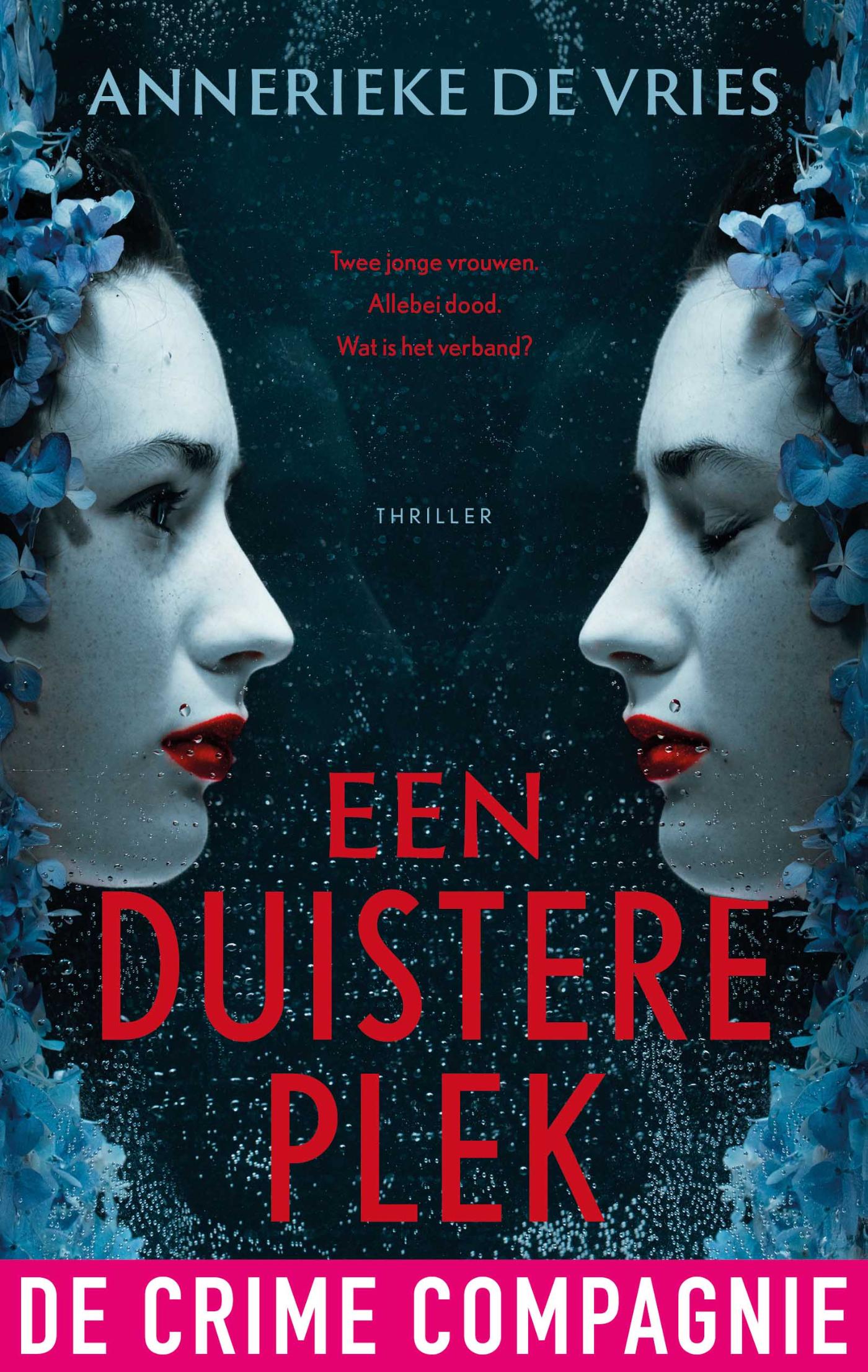 Omslag van Een duistere plek