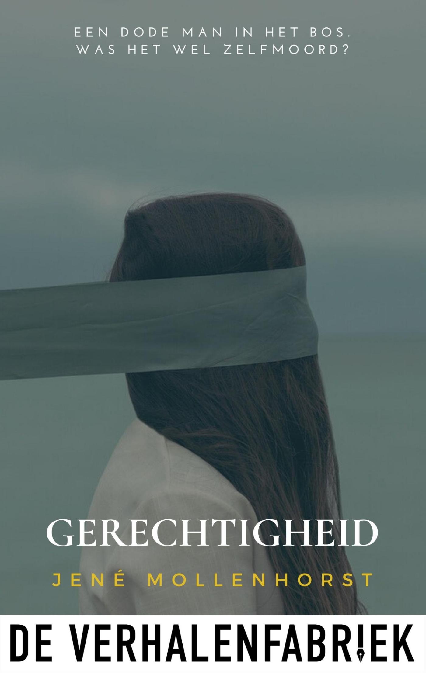 Omslag van Gerechtigheid