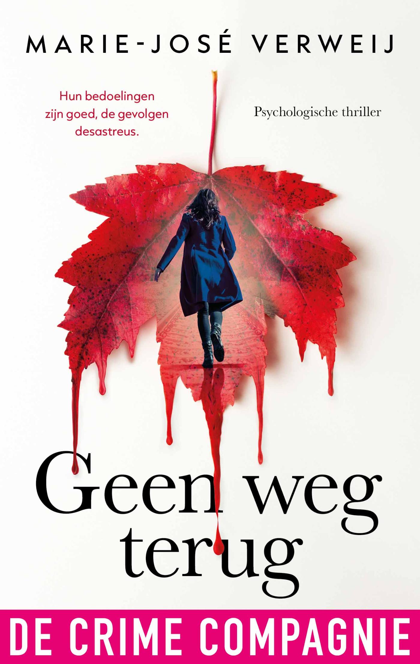 Omslag van Geen weg terug