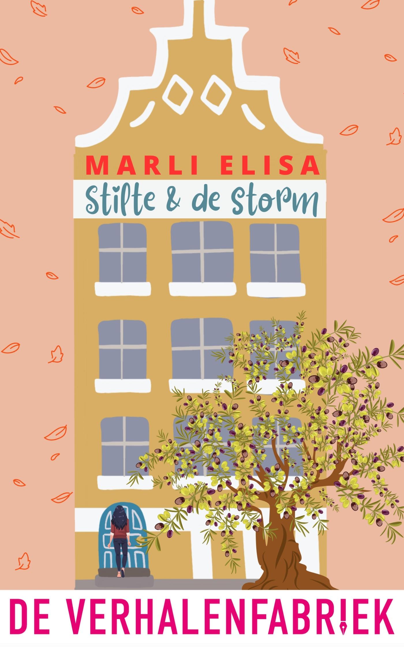 Omslag van Stilte & de storm