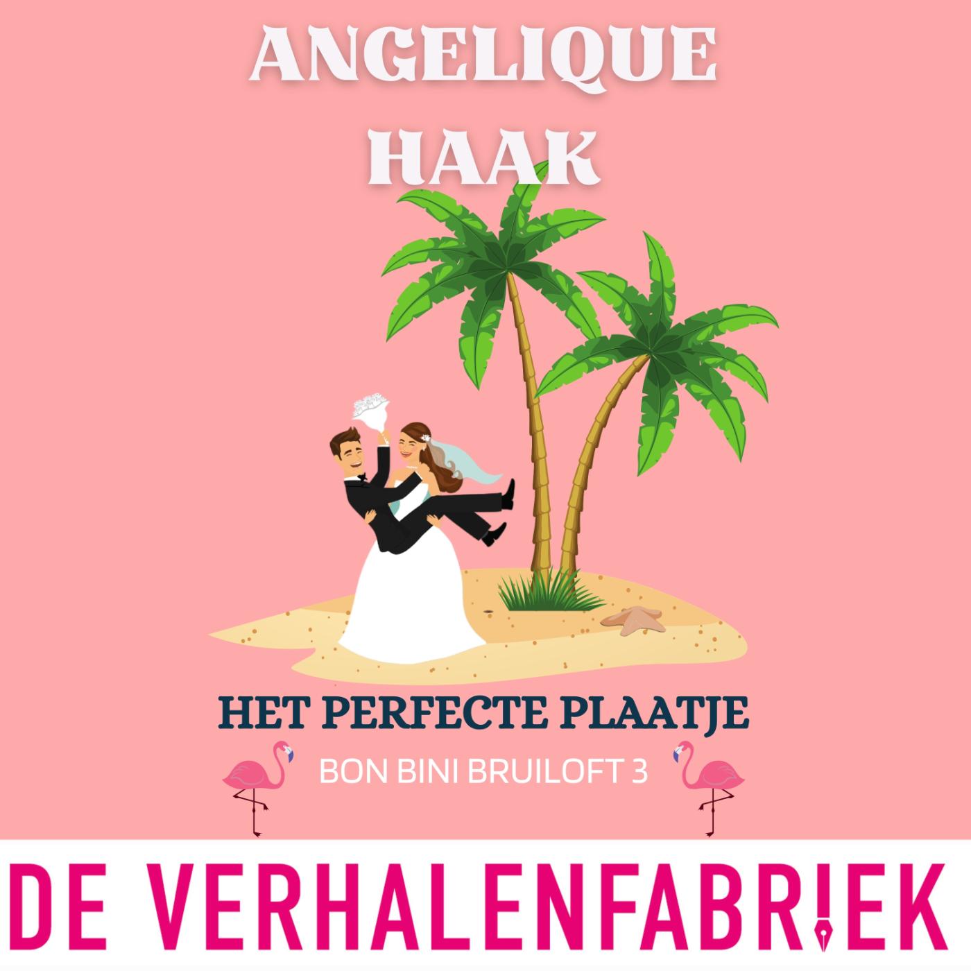 Omslag van Het perfecte plaatje