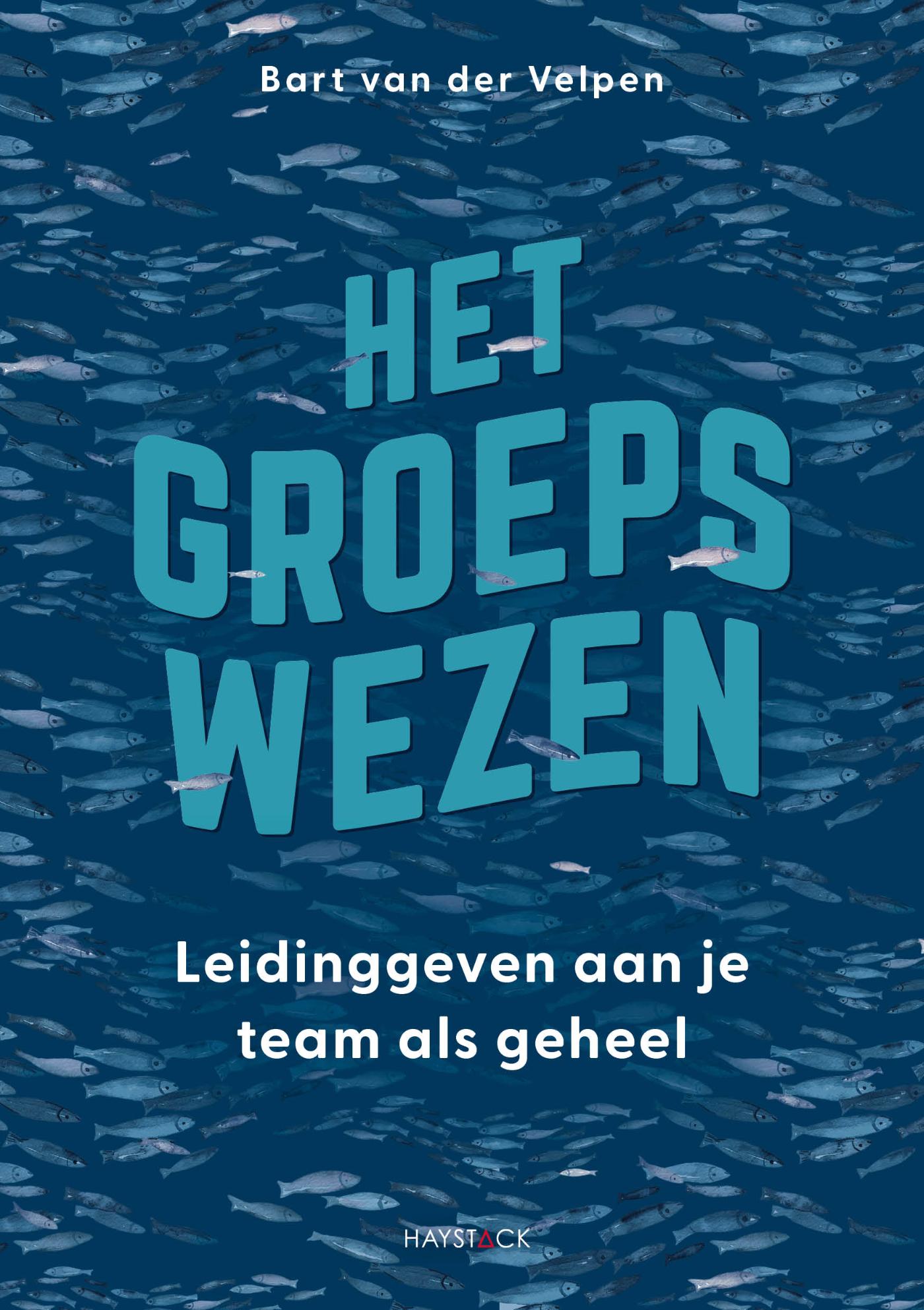 Omslag van Het groepswezen