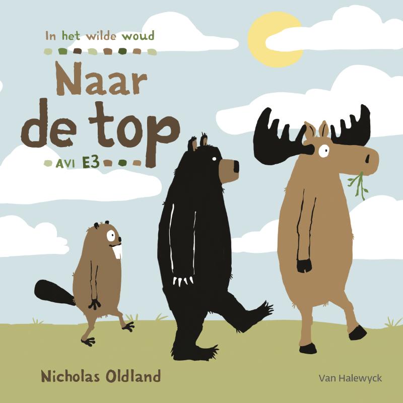 Omslag van Naar de top