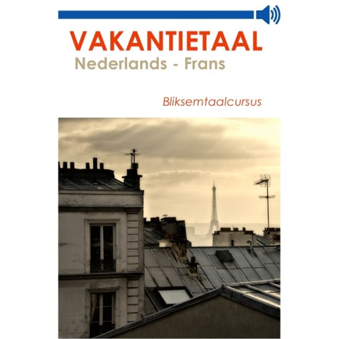 Omslag van Vakantietaal Nederlands-Frans