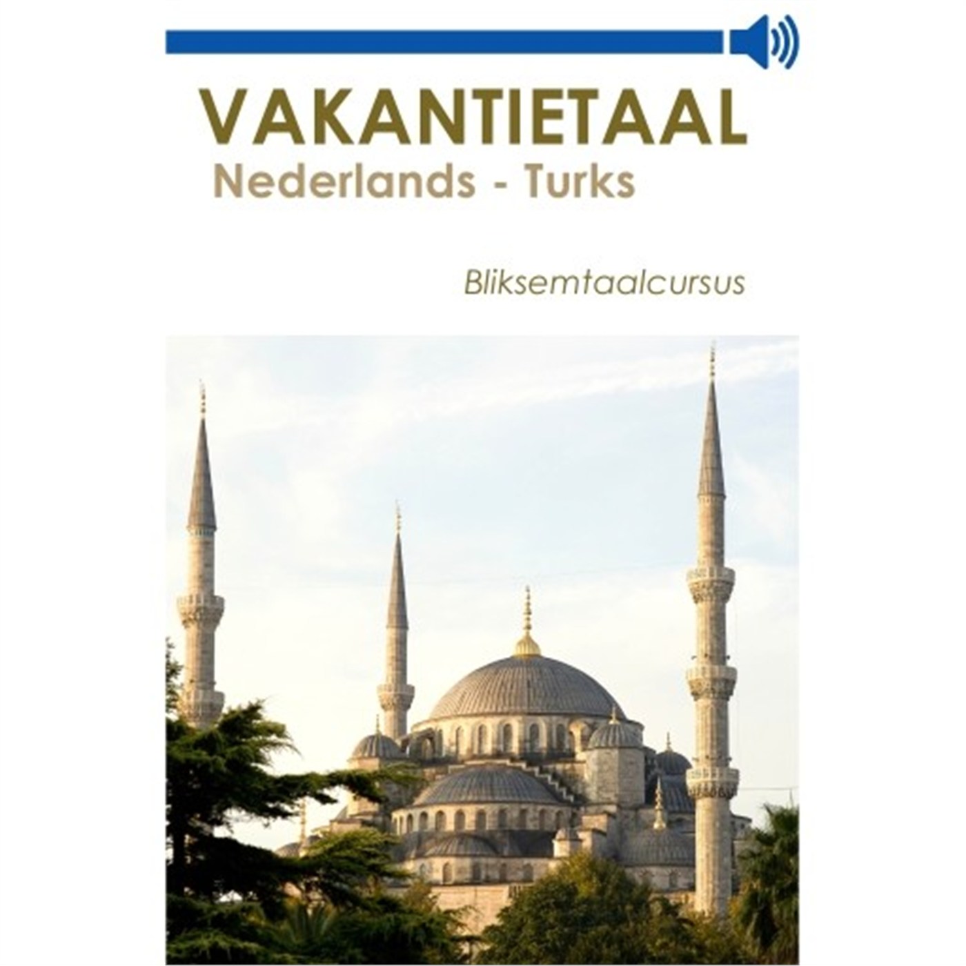 Omslag van Vakantietaal Nederlands-Turks