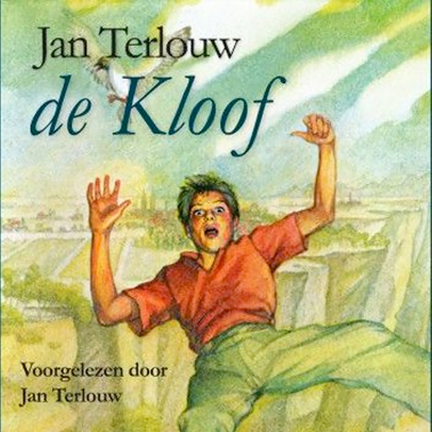 Omslag van De kloof