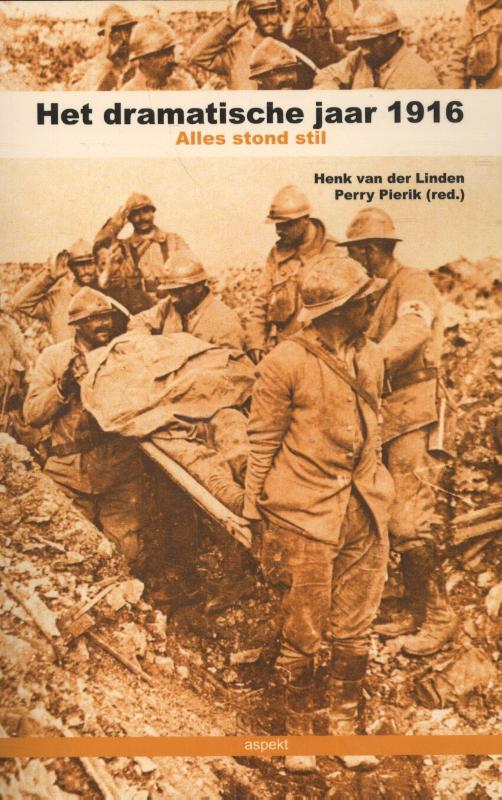 Omslag van Het dramatische jaar 1916