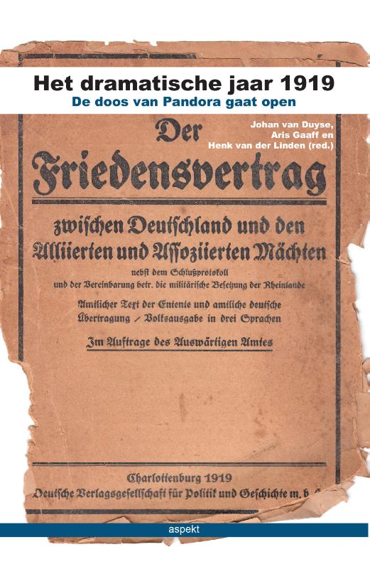 Omslag van Het dramatische jaar 1919