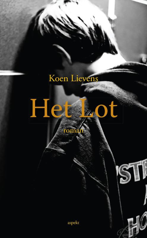 Omslag van Het Lot