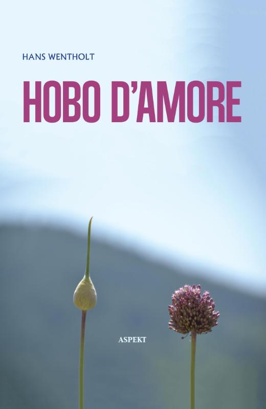 Omslag van Hobo d'amore