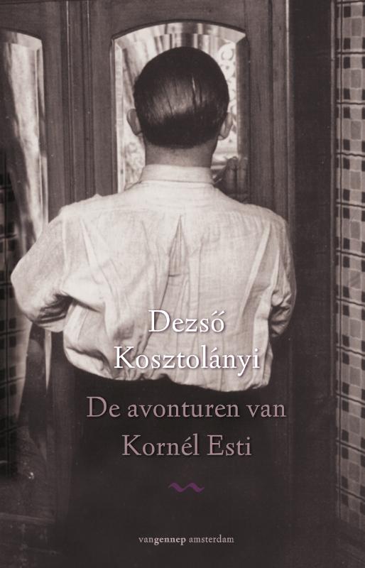 Omslag van De avonturen van Kornél Esti
