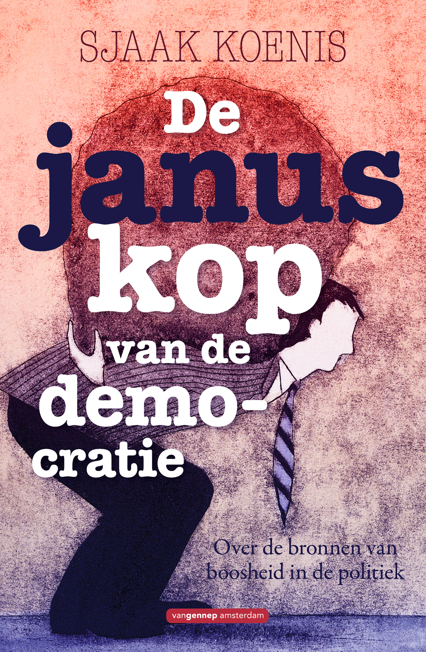 Omslag van De januskop van de democratie
