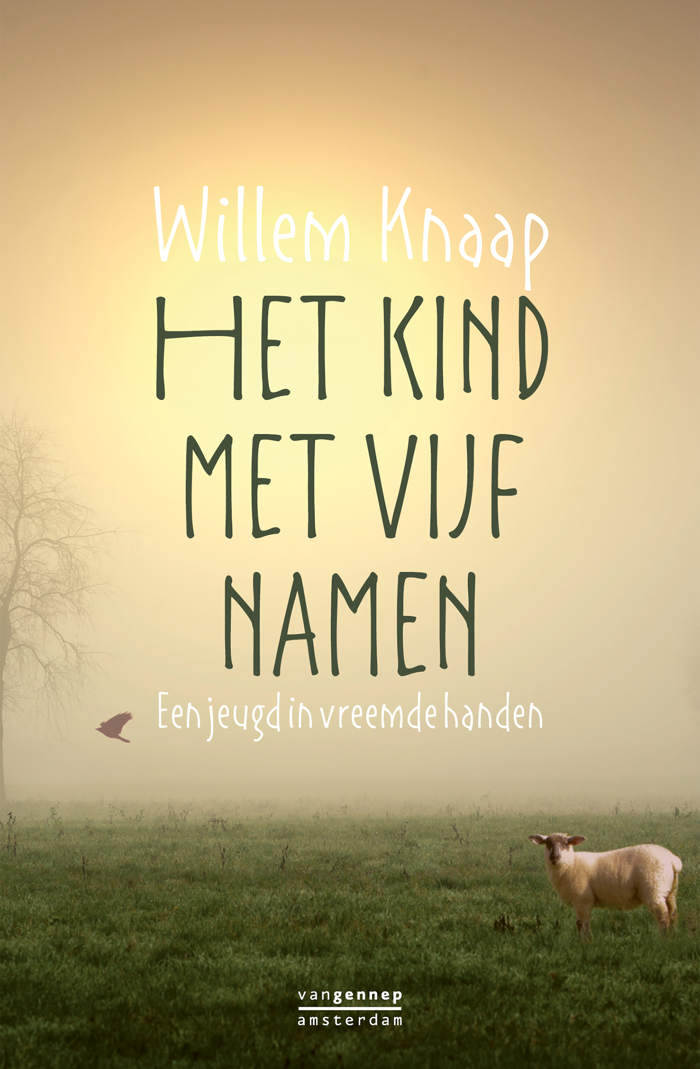 Omslag van Het kind met vijf namen