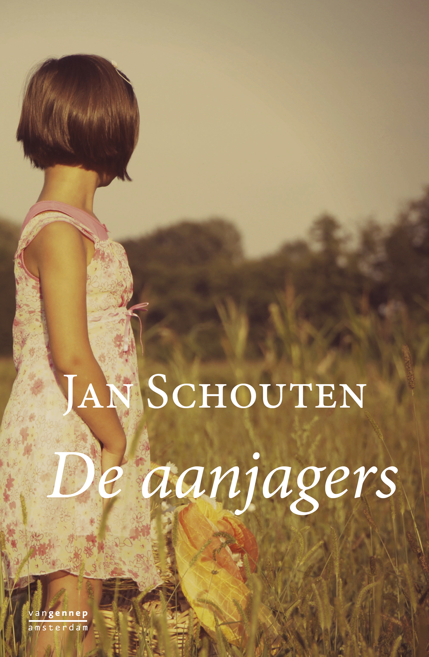 Omslag van De aanjagers