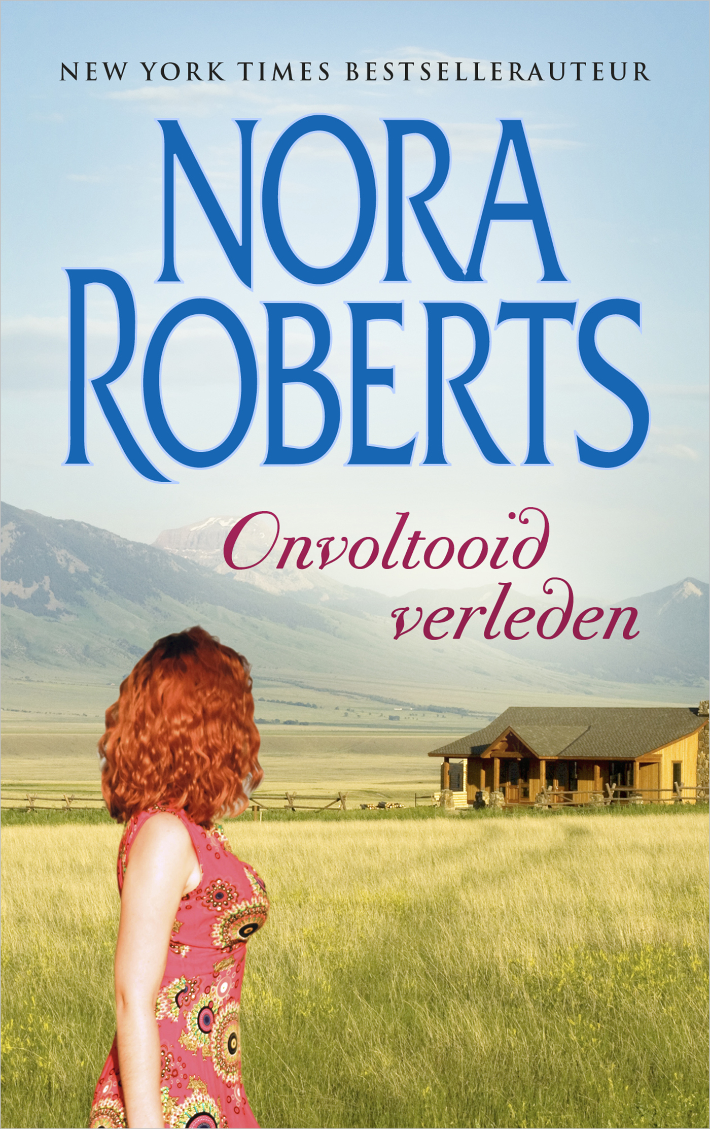Omslag van Onvoltooid verleden