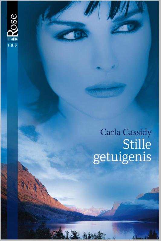Omslag van Stille getuigenis