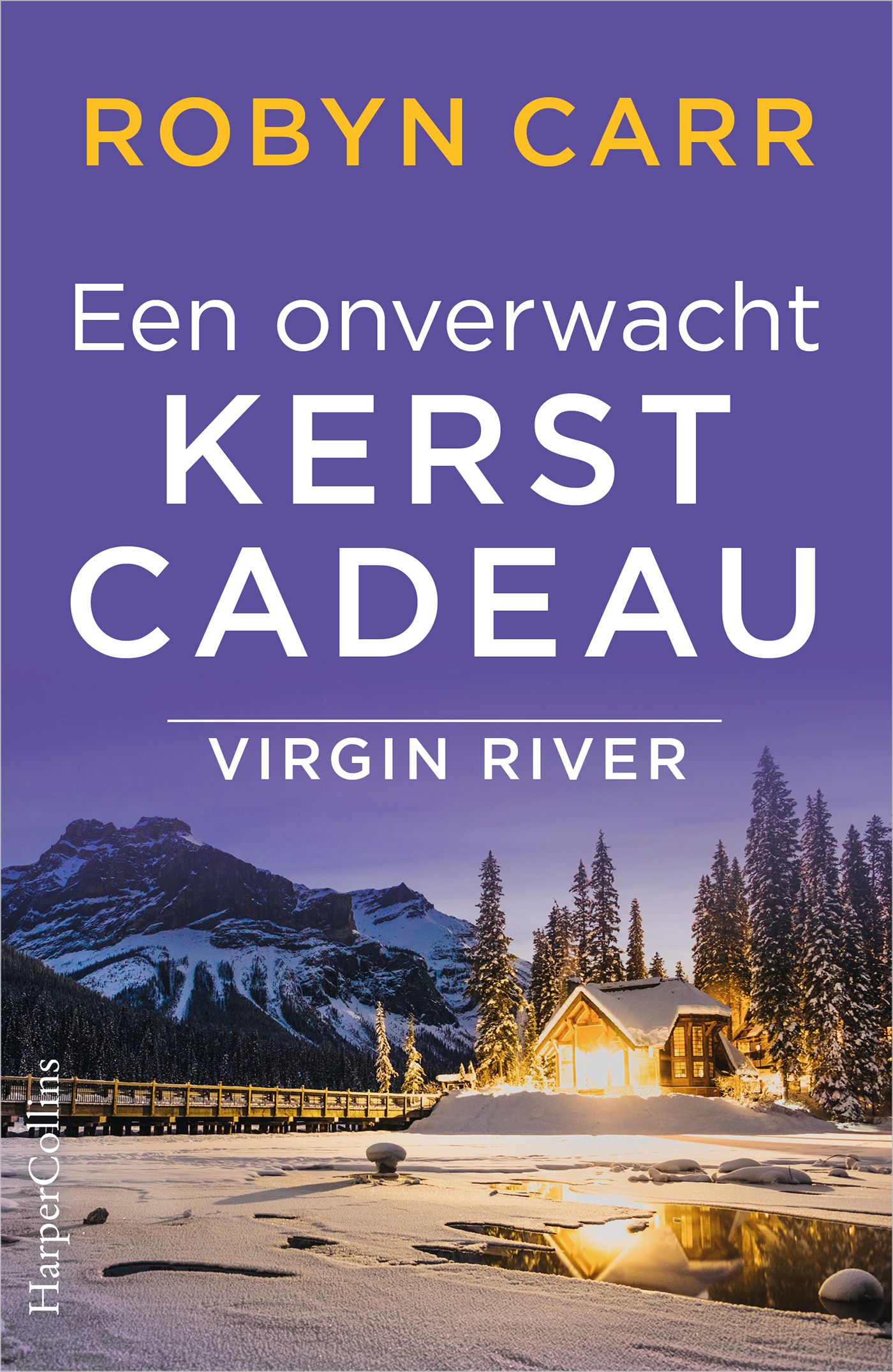 Omslag van Een onverwacht kerstcadeau