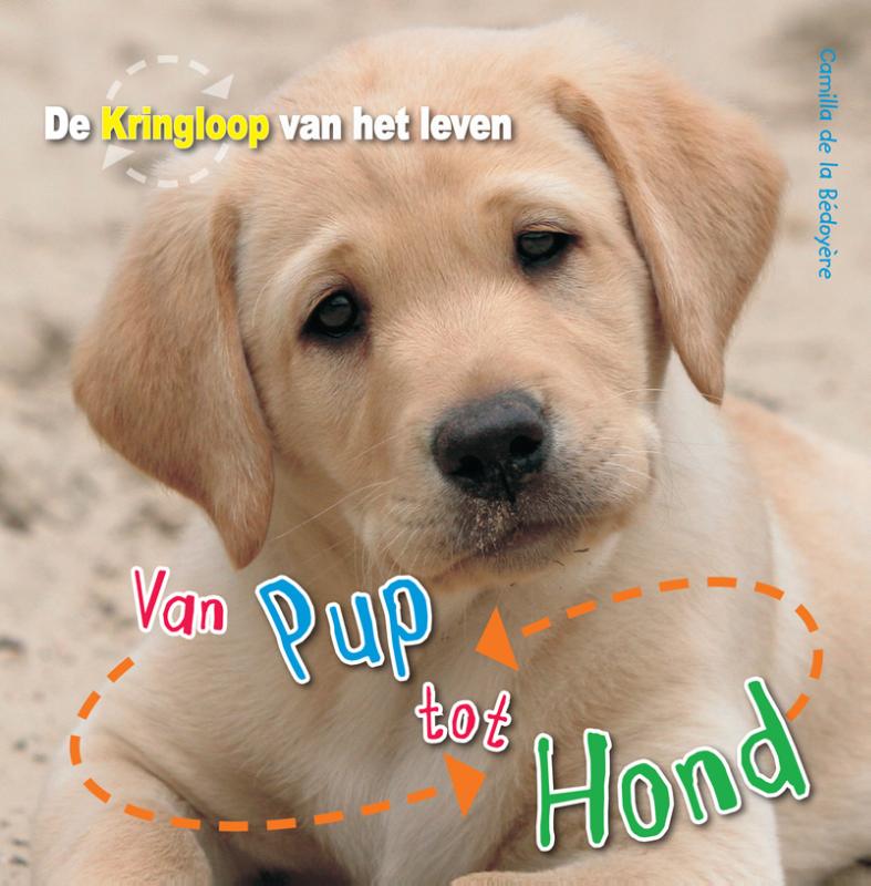 Omslag van Van pup tot hond