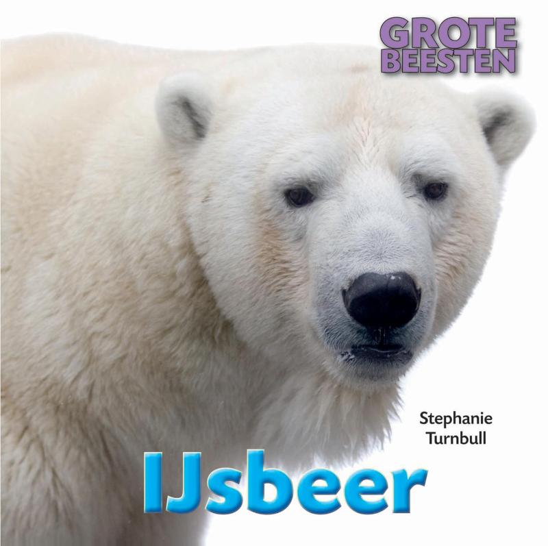 Omslag van IJsbeer