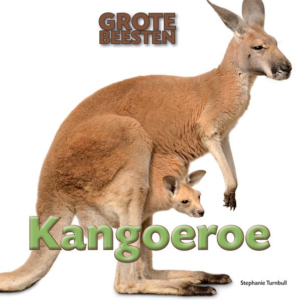 Omslag van Kangoeroe
