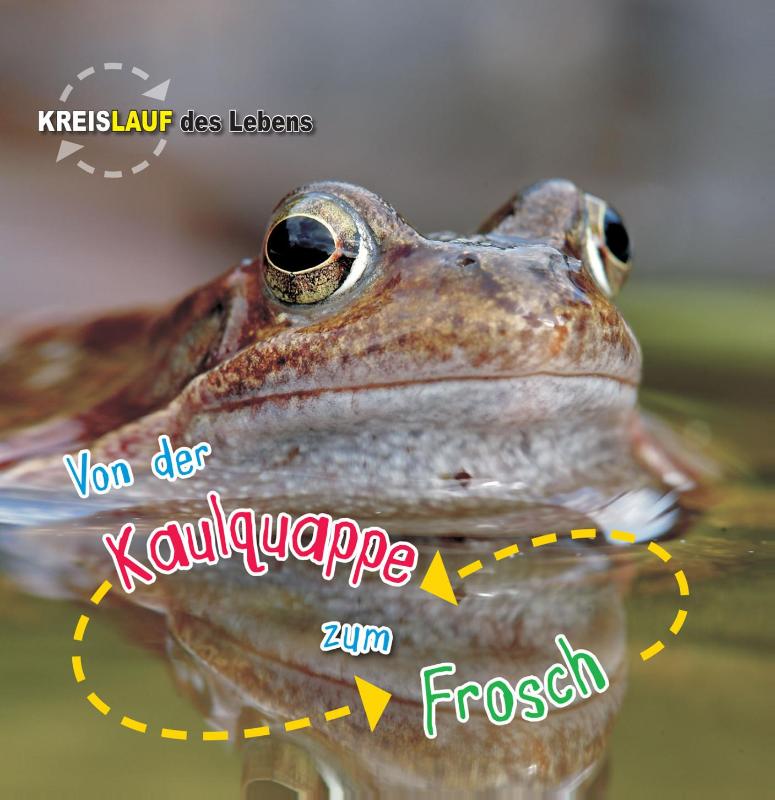 Omslag van Von der Kaulquappe zum Frosch