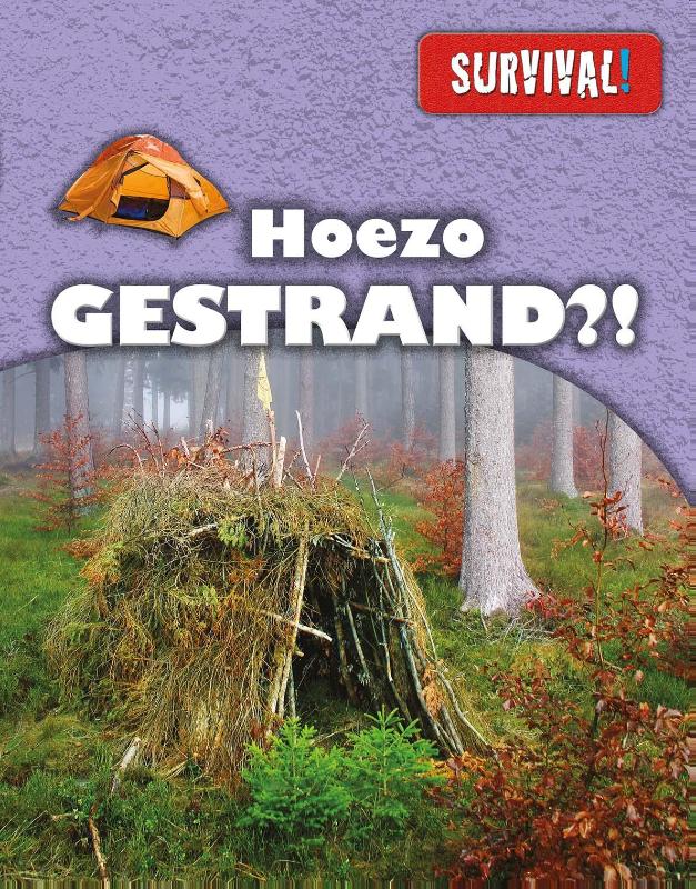 Omslag van Hoezo gestrand?