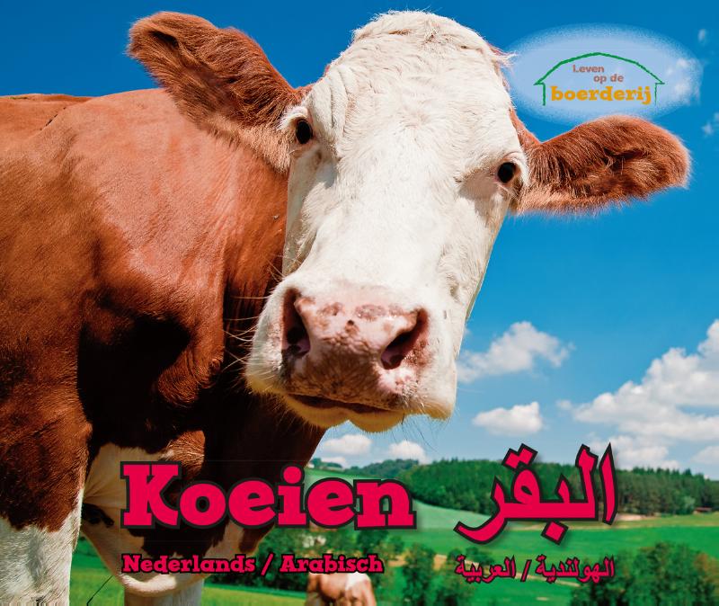 Omslag van Koeien (Ned-Arab)