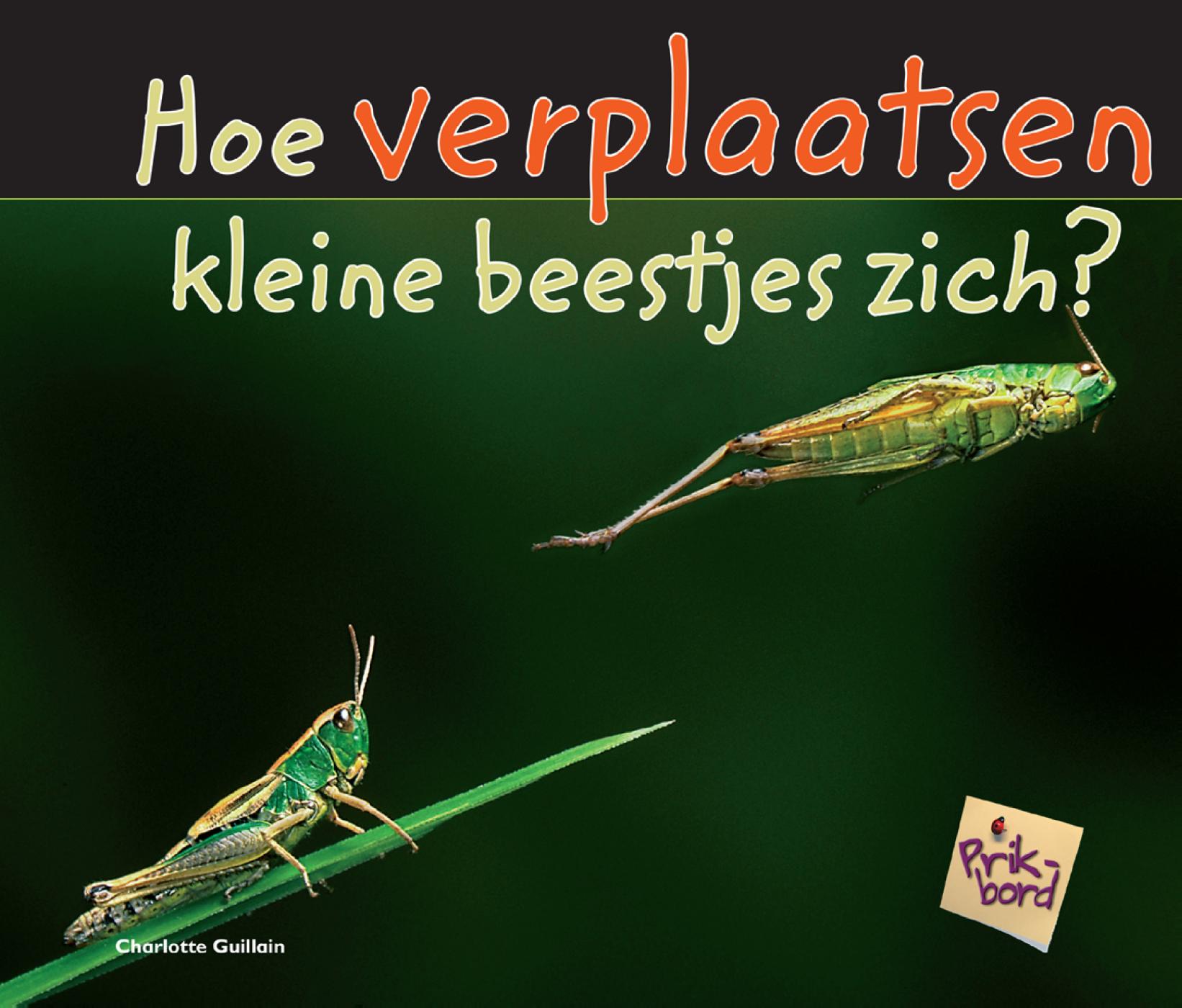 Omslag van Hoe verplaatsen kleine beestjes zich?