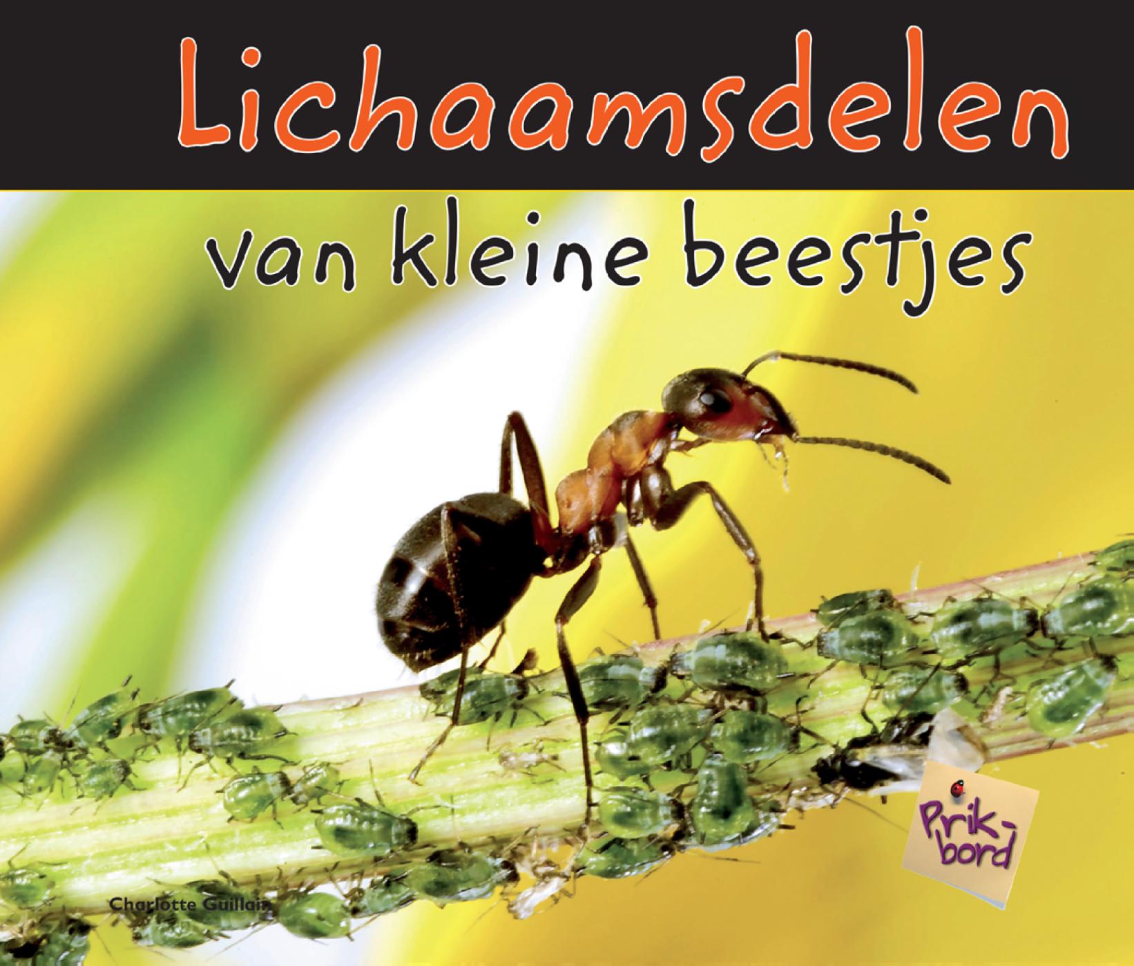 Omslag van Lichaamsdelen van kleine beestjes