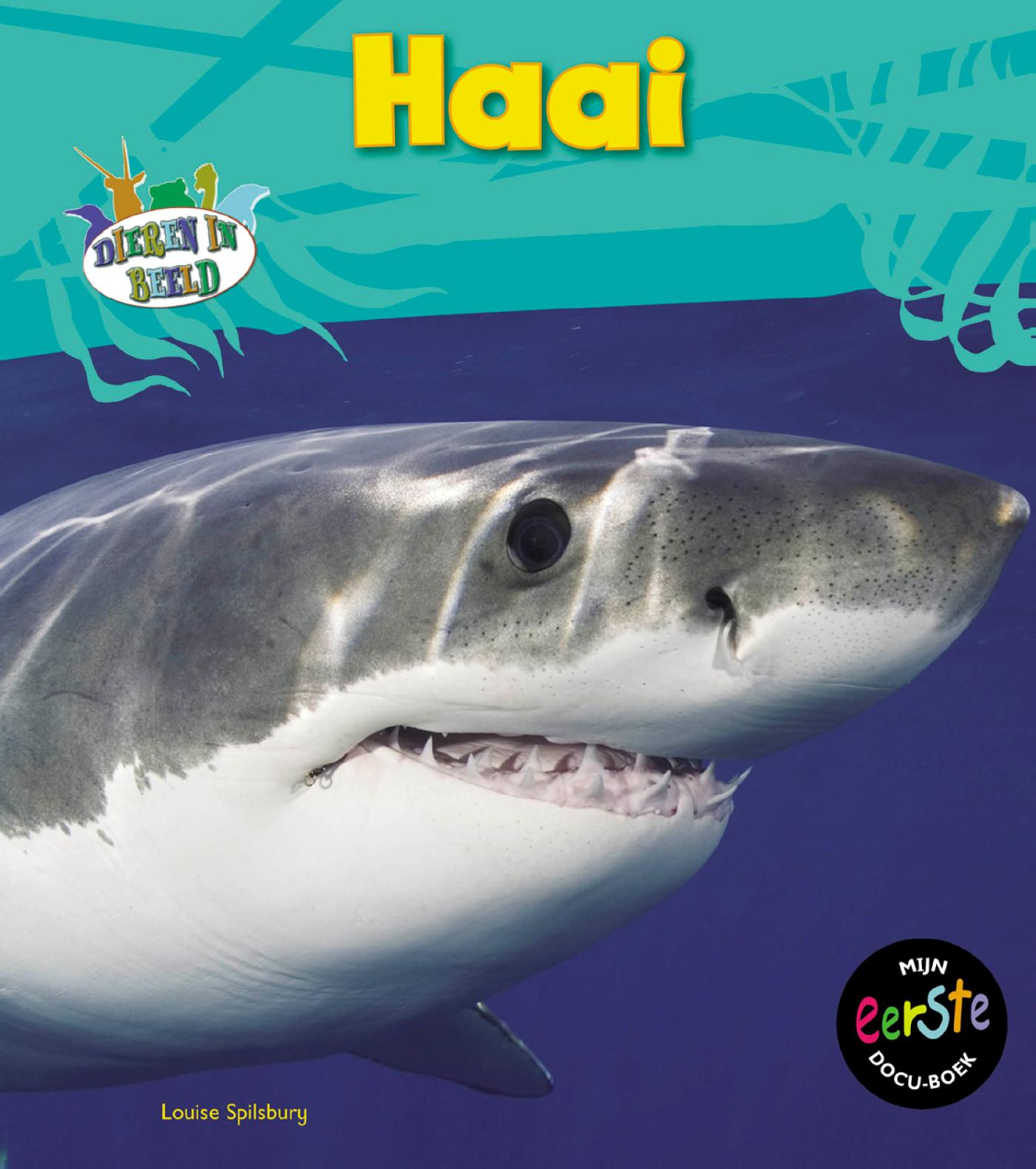Omslag van Haai