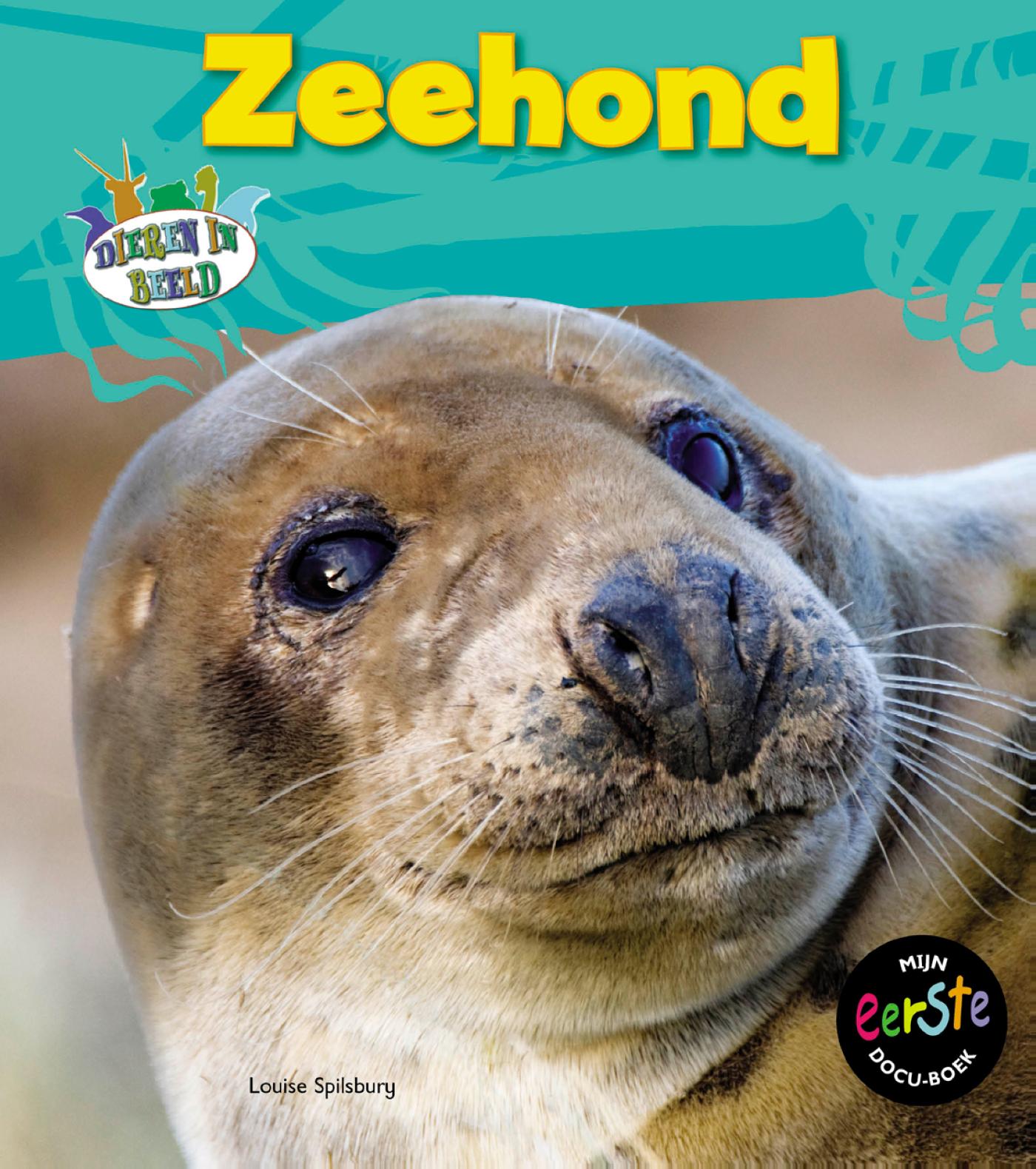 Omslag van Zeehond