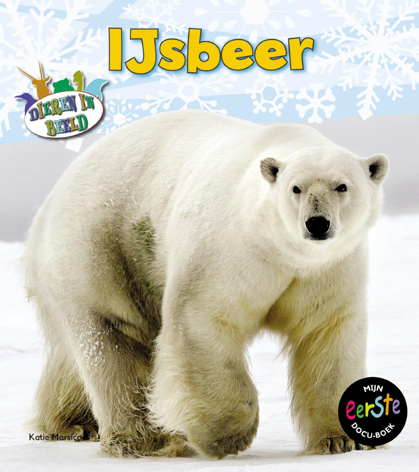 Omslag van IJsbeer