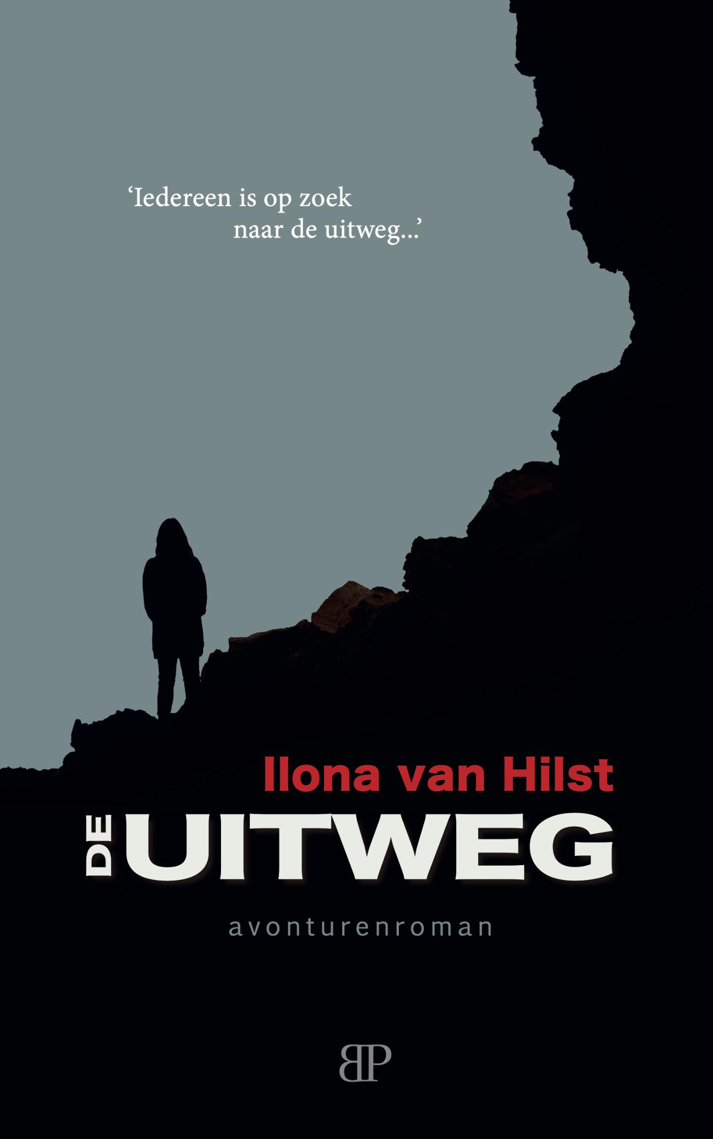 Omslag van De uitweg