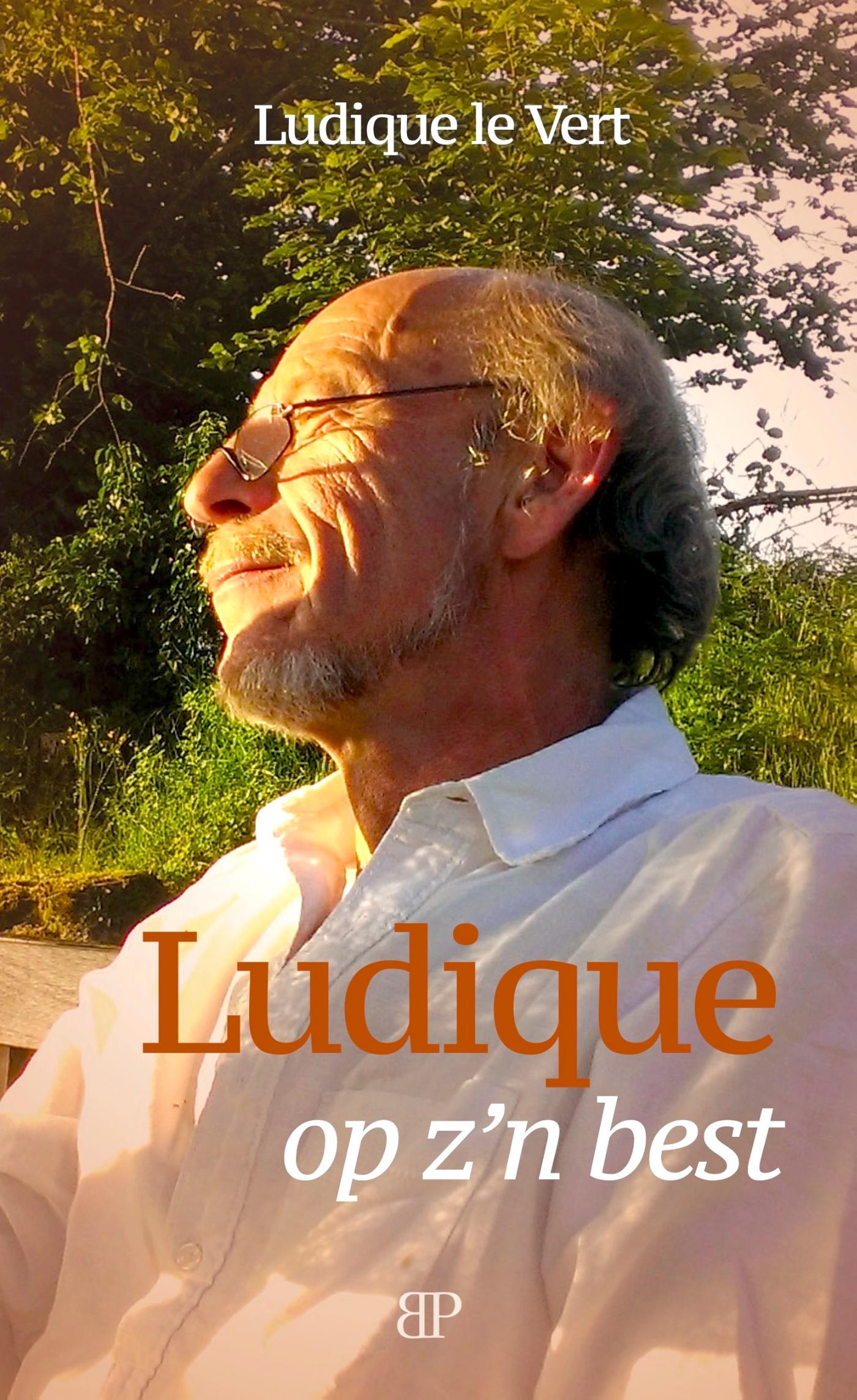 Omslag van Ludique op z'n best