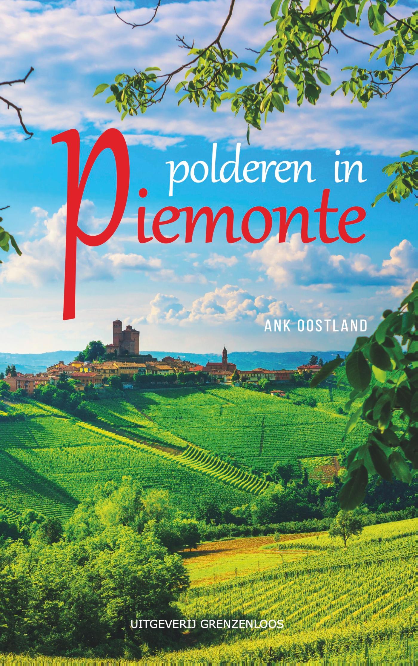 Omslag van Polderen in Piemonte