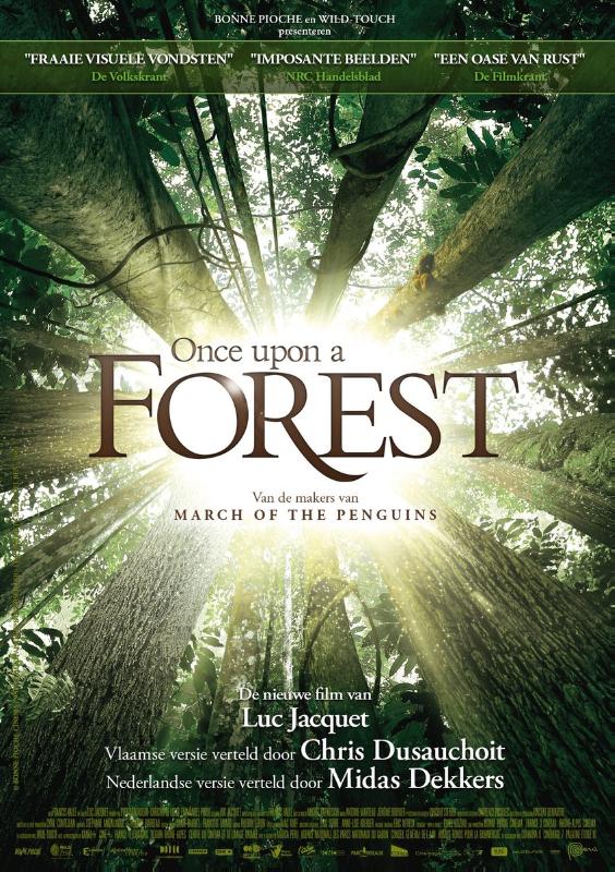 Omslag van Once upon a forest