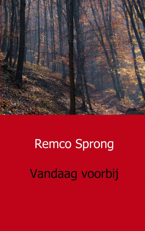 Omslag van Vandaag voorbij