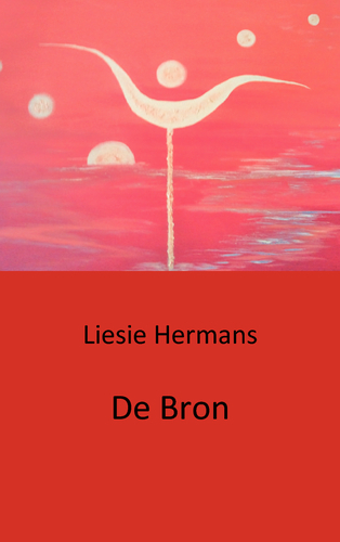 Omslag van De bron