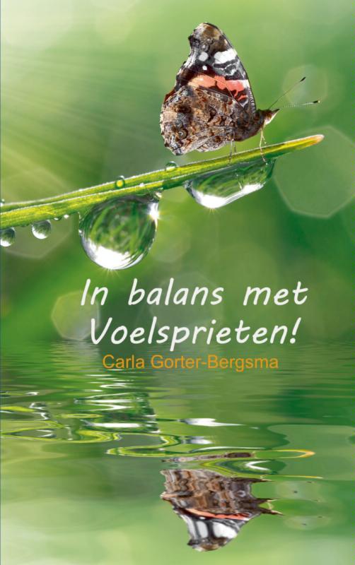Omslag van In balans met voelsprieten