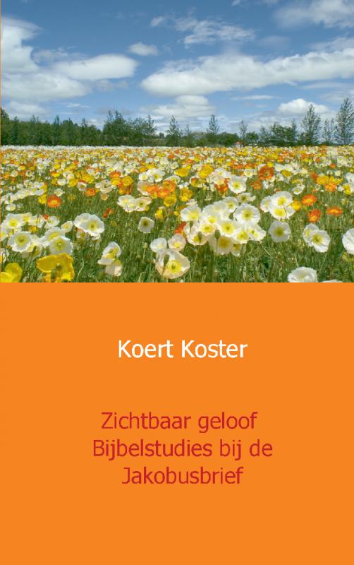Omslag van Zichtbaar geloof Bijbelstudies bij de Jakobusbrief