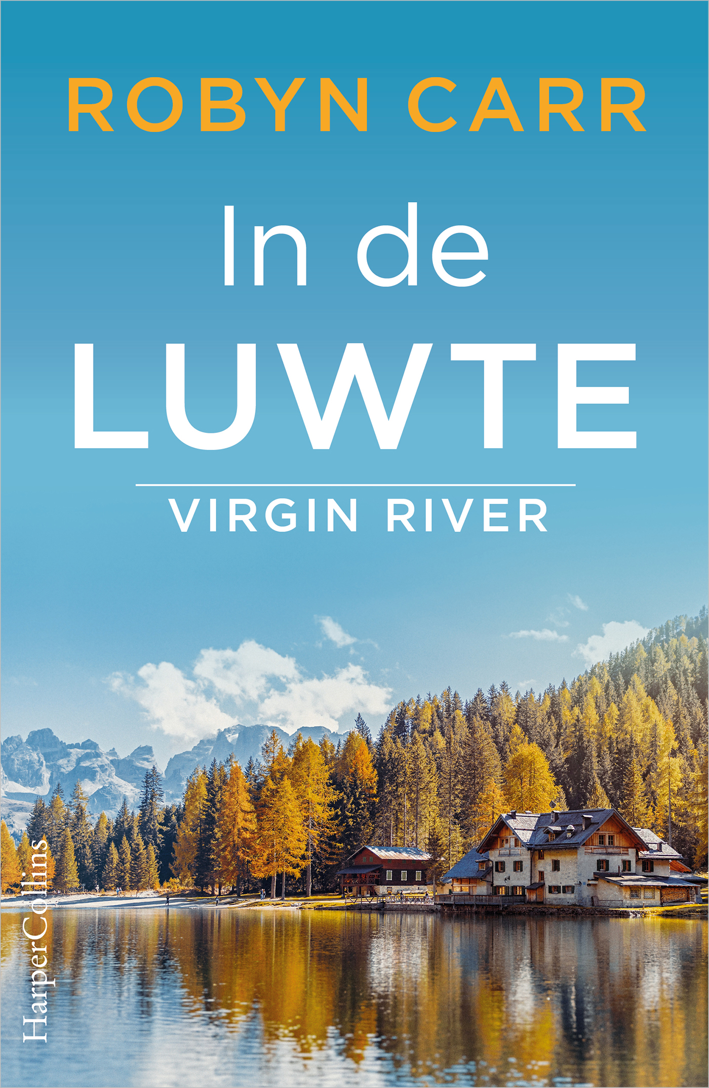 Omslag van In de luwte