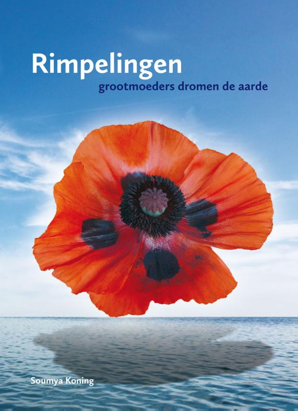 Omslag van Rimpelingen