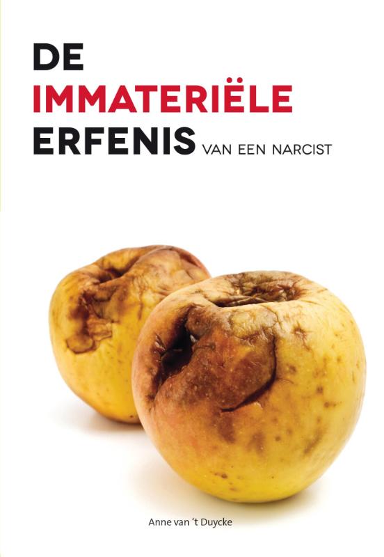 Omslag van De immateriele erfenis van een narcist