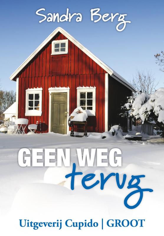 Omslag van Geen weg terug