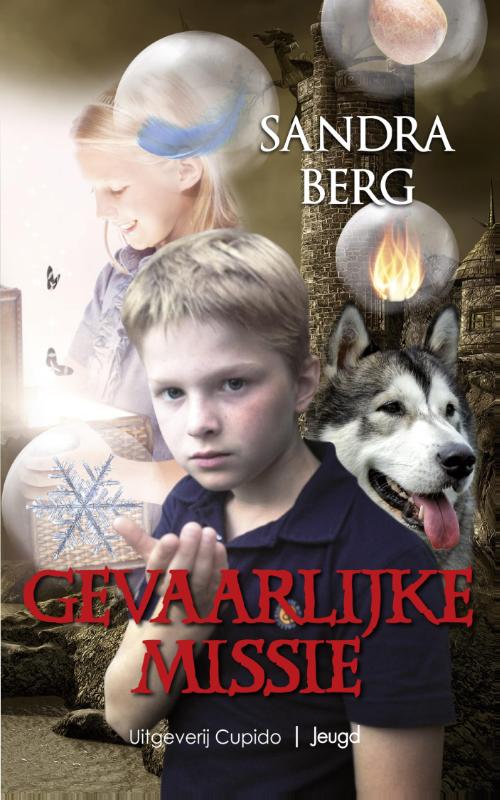 Omslag van Gevaarlijke missie