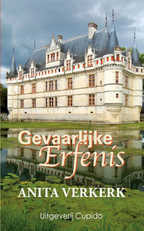 Omslag van Gevaarlijke erfenis